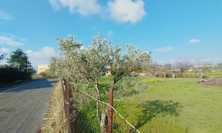 Terreno edificabile- Rende