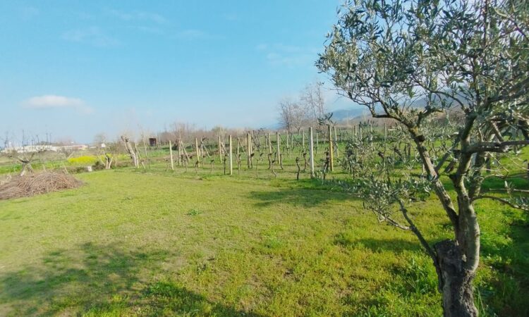 Terreno edificabile- Rende