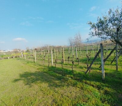 Terreno edificabile- Rende