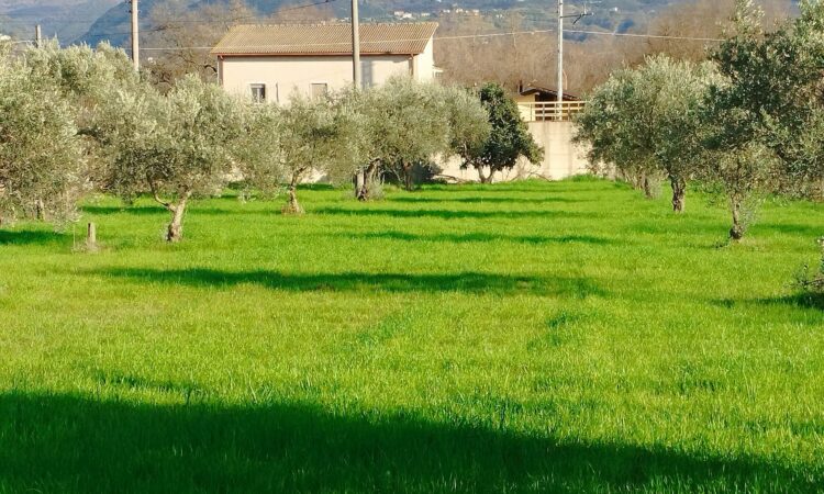 Terreno edificabile- Via Sant’Antonello