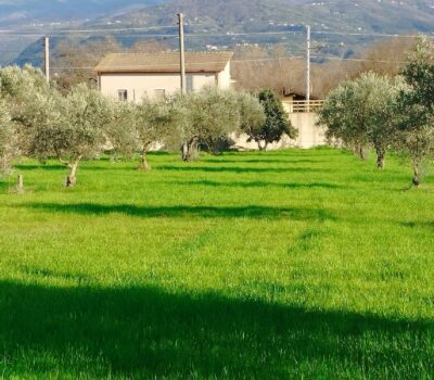 Terreno edificabile- Via Sant’Antonello
