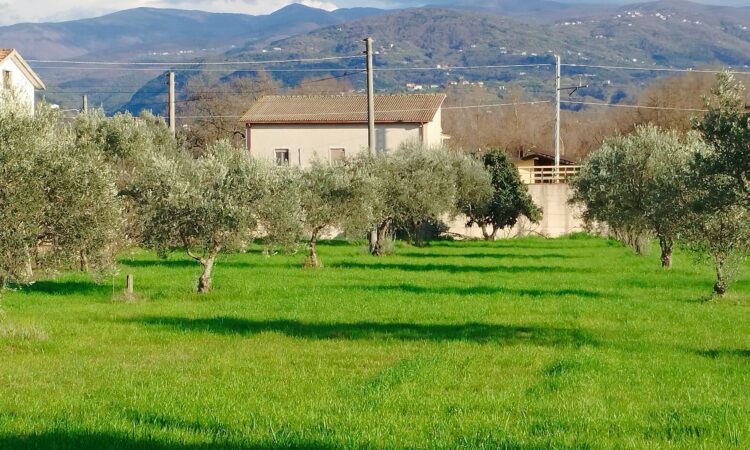 Terreno edificabile- Via Sant’Antonello
